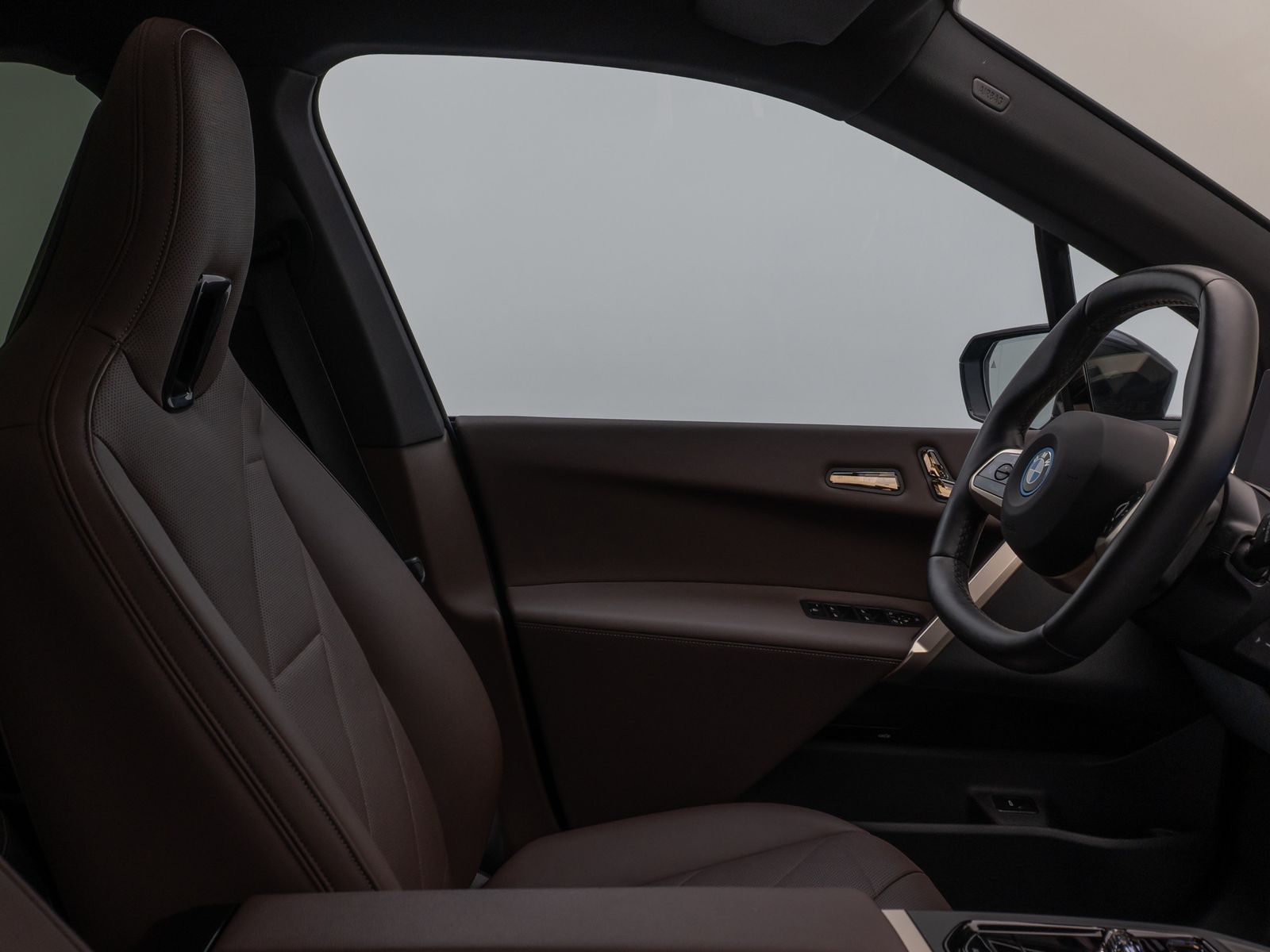 Fahrzeugabbildung BMW iX xD40 Sport DAB SoftClose SkyLounge H/K 21Zoll