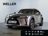Lexus UX 250h Style Edition *Bi-LED*ACC*CAM*SHZ*CarPla - Lexus in Dortmund
