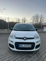 Fiat Panda - weiße Fiat Grande Panda