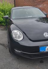 Volkswagen Beetle 1.2 TSI simply black & cool - Volkswagen Beetle in Bielefeld