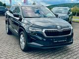 Skoda Karoq Style 4x4 2.0TDI *Matrix/Standheiz