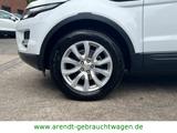 Land Rover Evoque Pure Technik *81Tsd.Km/Xenon/Leder/Navi* - Land Rover Range Rover Evoque in Bielefeld