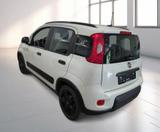 Fiat Panda 1.0 City Life Klima - gebrauchte Fiat Panda aus dem Jahr 2021