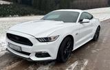 Ford Mustang 5.0 V8 GT 50 Years Edition - Ford Mustang: 50