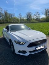 Ford Mustang V6 US Modell 3,7 unfallfrei - Ford Mustang: Coupé, V6