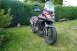 Suzuki  V-Strom 650 - optional tiefergelegt - SUZUKI 650 V