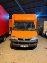 Fiat Ducato 244 BORCO HÖHNS Verkaufswagen - : Verkaufswagen