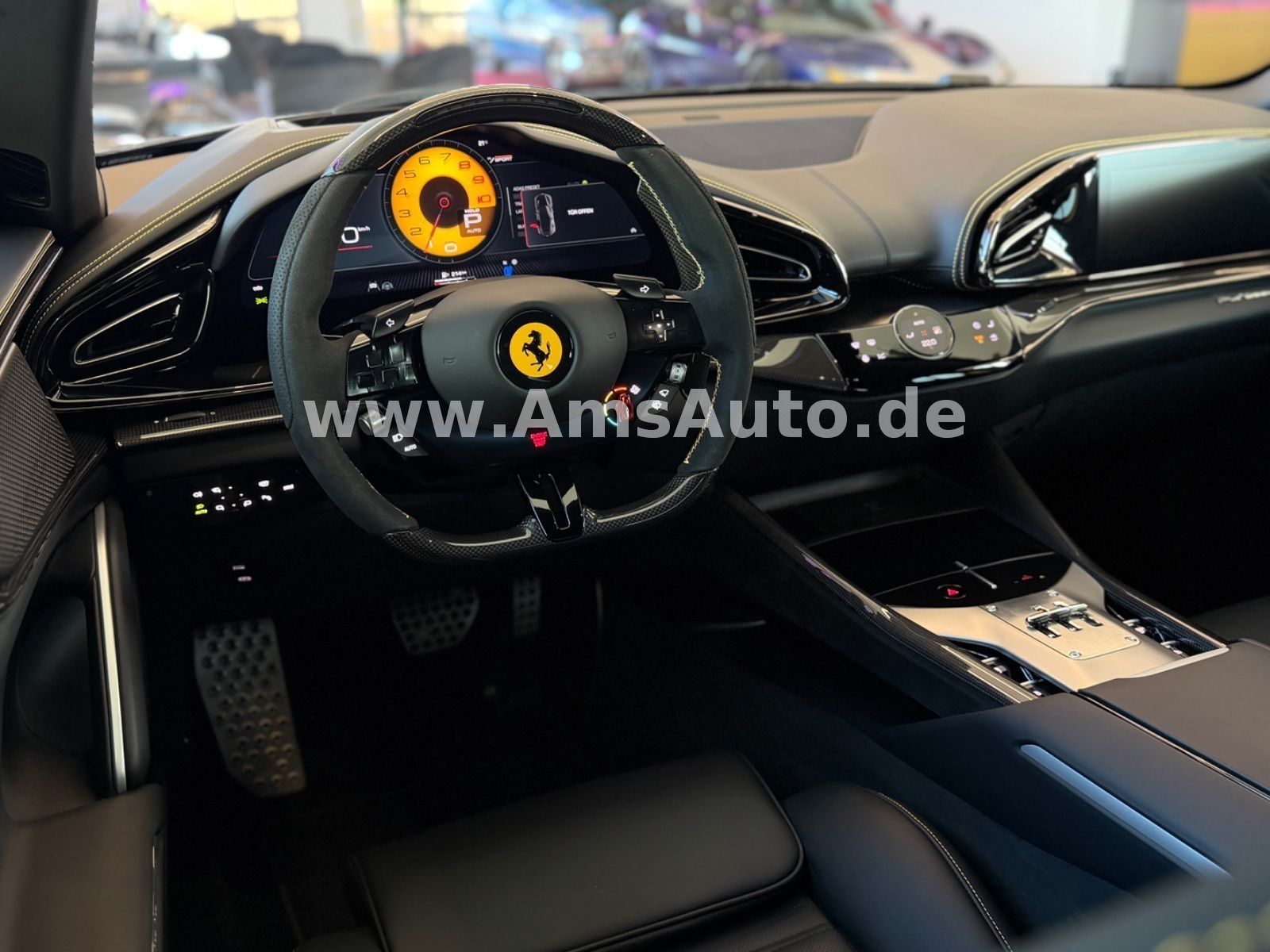 Purosangue Full Carbon Pano Massage