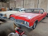 Buick Skylark 1967 CABRIO Convertible SELTEN - Buick