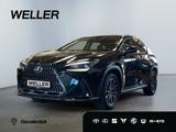 Lexus NX 350h Executive Line *Bi-LED*360°*ACC*el Heck* - Lexus aus 2024: Nx