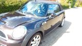 MINI Cooper S Cabrio Highgate - MINI: Braun