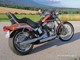 Harley-Davidson  FXSTC Softail Custom 105th Anniversary - Harley-Davidson FXST-F