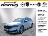 Skoda Octavia Combi Ambition,DSG,LED,Kam,SHZ - Skoda Octavia: Ambition