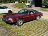 Jaguar XJS rostfrei orig. Zustand - Jaguar aus 1985