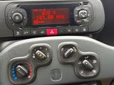 Fiat Panda Easy 1Hand 51 kW HU INSP NEU - Fiat Panda: Easy