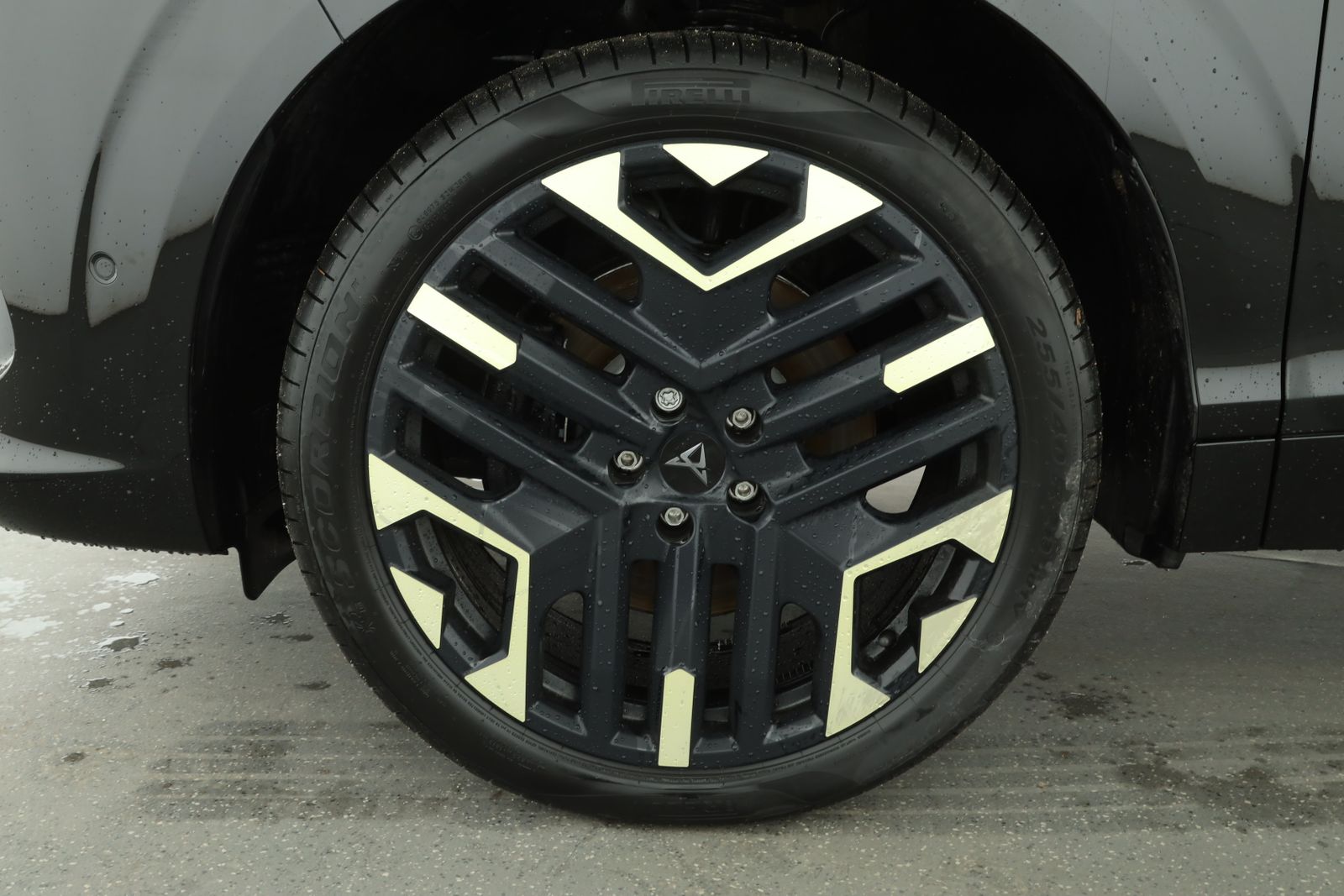 Cupra Terramar - Bild 10