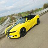 Chevrolet Camaro Cabrio 3.6 V6 Bumblebee Cabrio | 2014  - Chevrolet Camaro mit Schiebedach