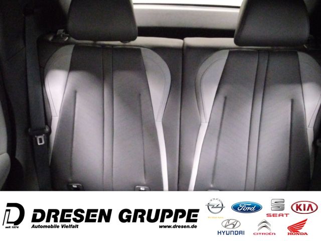 BYD DOLPHIN SURF
