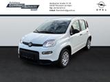 Fiat Panda 1.0 Pandina - Fiat Panda in Mainz