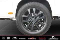 Autohaus Thorwesten Gebrauchtwagen