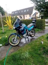 Honda XL 600 V PD 06 - HONDA XL 600