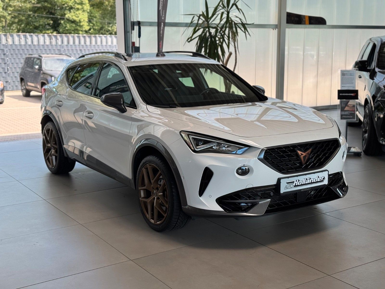 Fahrzeugabbildung CUPRA Formentor 2.0 TSI VZ 4Drive  "AHK  Brembo PANO"