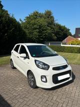 Kia Picanto 1.2 Dream-Team, Sitz- und Lenkradheizung - Kia Picanto in Bochum