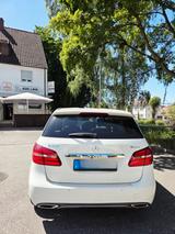 Mercedes-Benz 220 - Kleinbusse mit Unfallschaden