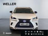 Lexus NX 300h Style Edition *Bi-LED*CAM*SHZ*CarPlay*PD - Lexus NX-Serie SUV