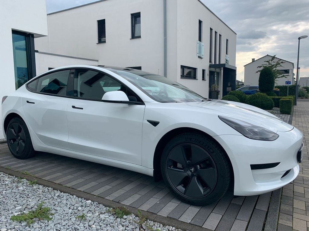 Image of Other Other