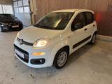 Fiat Panda Easy*1 Hand*Klima*Pdc*Zv*8 Fach* - Fiat Panda EASY mit Benzin-Antrieb