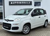 Fiat Panda Easy 1.2 BENZIN RADIO KLIMA TÜV 10/27 - Fiat Panda EASY mit Benzin-Antrieb