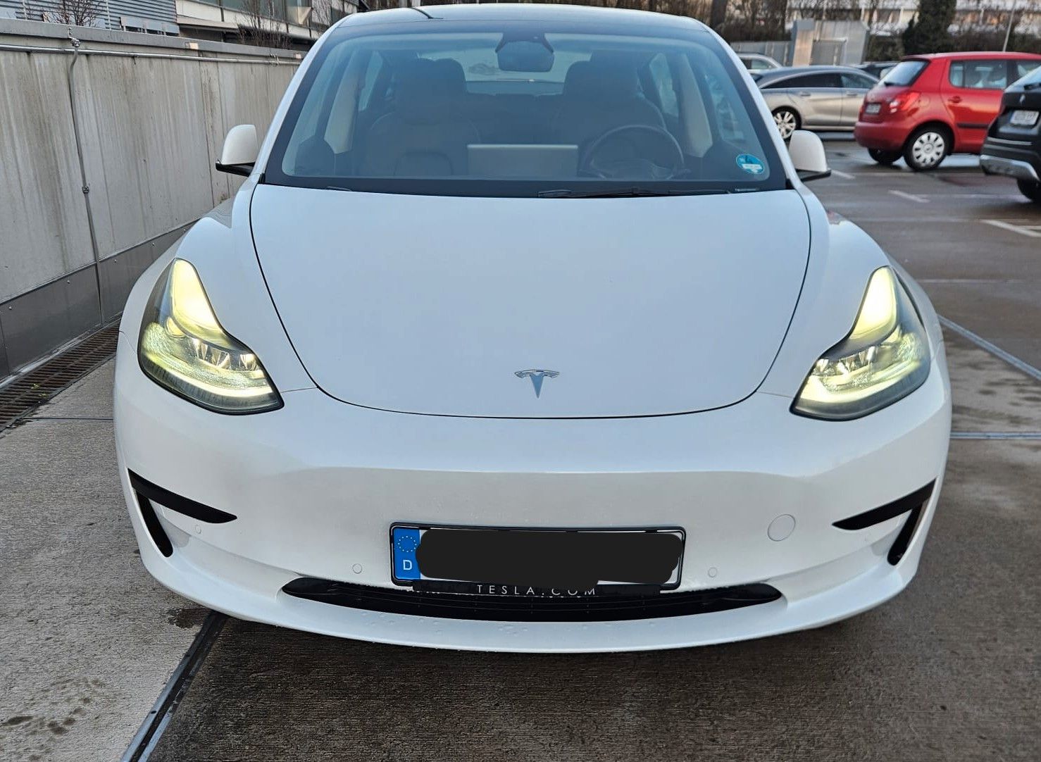 TESLA Model 3 Standard-Reichweite Plus - Hinterrad...
