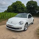 Volkswagen Beetle 1.4 TSI DSG Sport / neue Ganzjahresreifen