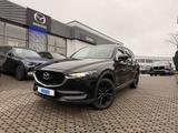 Mazda CX-5 2.5 194 PS Advantage *Winterräder* - gebrauchte Mazda CX-5 aus dem Jahr 2021
