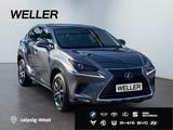 Lexus NX 300h E-FOUR Business Edition *LED*Pano*CAM*SH - Lexus: Nx