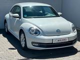 Volkswagen Beetle Lim. Design *1.HAND*PDC*SHZ* - Volkswagen Beetle: Kleinwagen