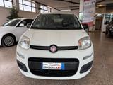 Fiat Panda 1.2 EasyPower Easy GPL - Fiat Panda mit LPG-Antrieb