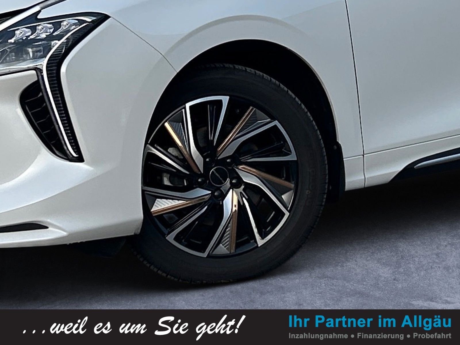 Fahrzeugabbildung DFSK FORTHING 4U 7SITZ 1.5T AT NOBLE AHK PANO