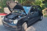Volkswagen Lupo 1.0 COMFORTLINE Comfortline - Volkswagen Lupo in Düsseldorf