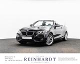 BMW 218i CABRIO ADVANTAGE RTTi/HiFi/PDC/LED/2-ZONEN - BMW Gebrauchtwagen in Hagen
