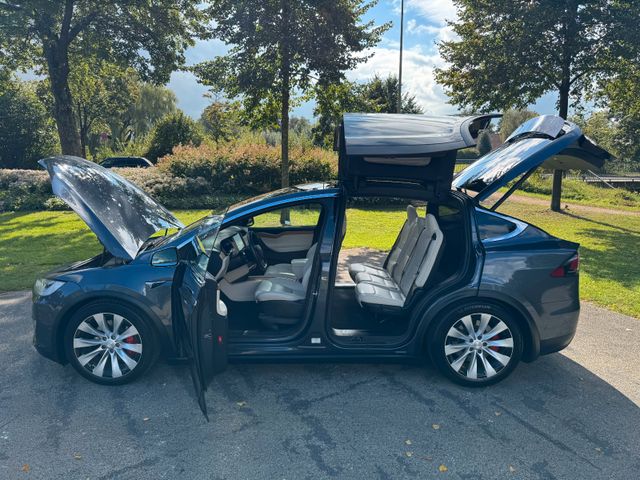 Tesla MODEL X RAVEN PERFORMANCE | FULL SELF DRIVE |