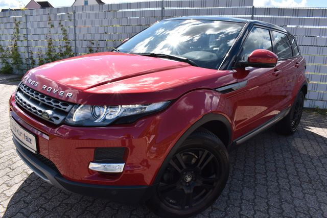 Land Rover Range Rover Evoque Pure CAMERA LEDER AHK