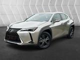 Lexus UX 250h Luxury Line Luxury Line - Lexus UX: Luxury Line