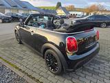 MINI Cooper Cabrio Aut. NAVI PLUS KOMFORT HUD - MINI Cooper Cabrio mit Panoramadach