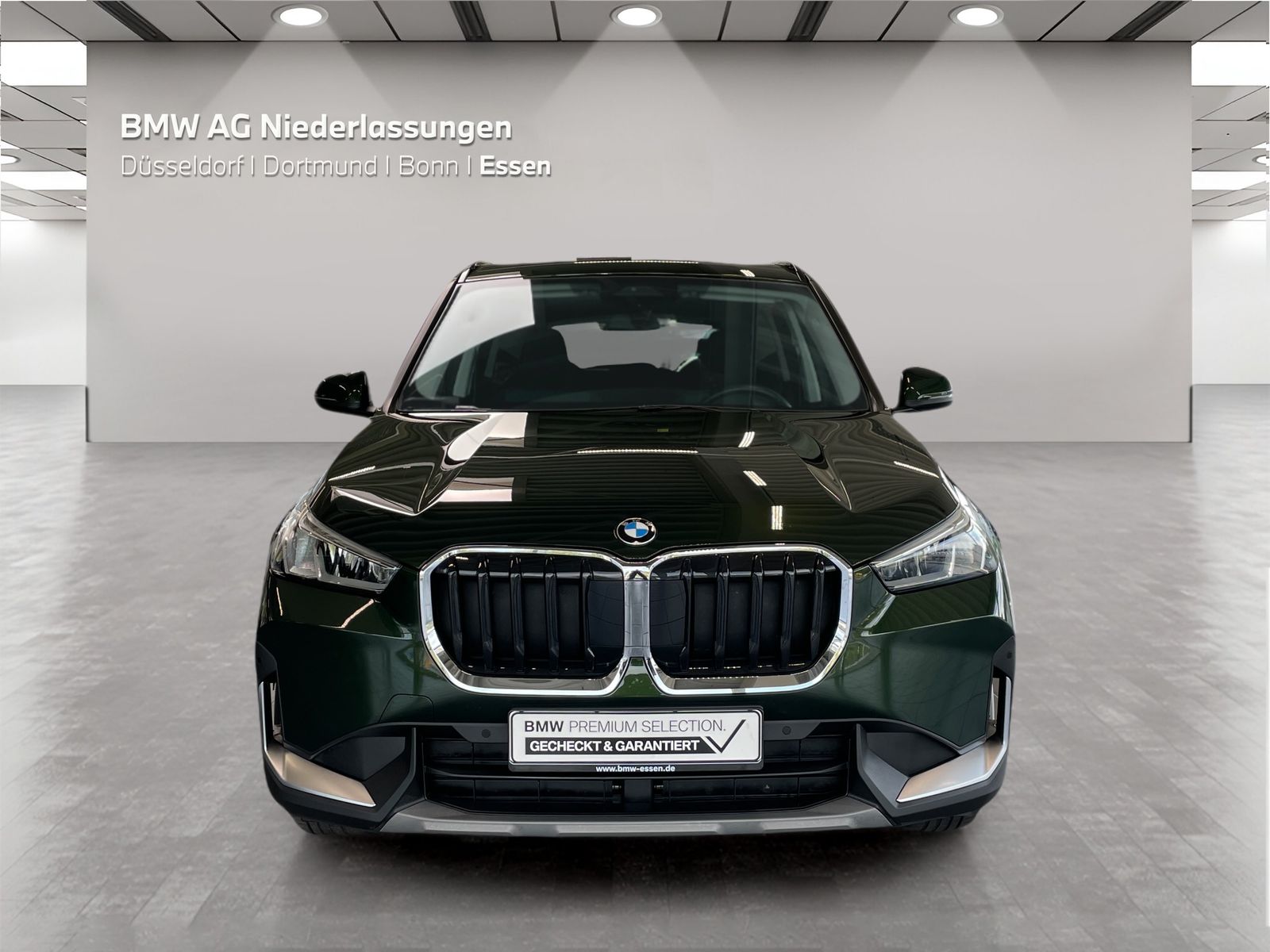 BMW X1 sDrive18i Kamera Sitzheizung foto 5