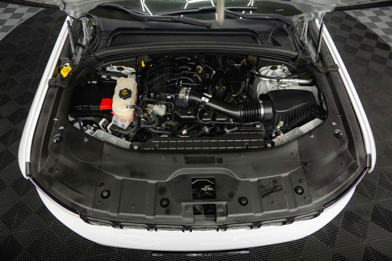 Fahrzeugabbildung Jeep Grand Cherokee 3.6 4x4 L Altitude Mod. 2022 19%