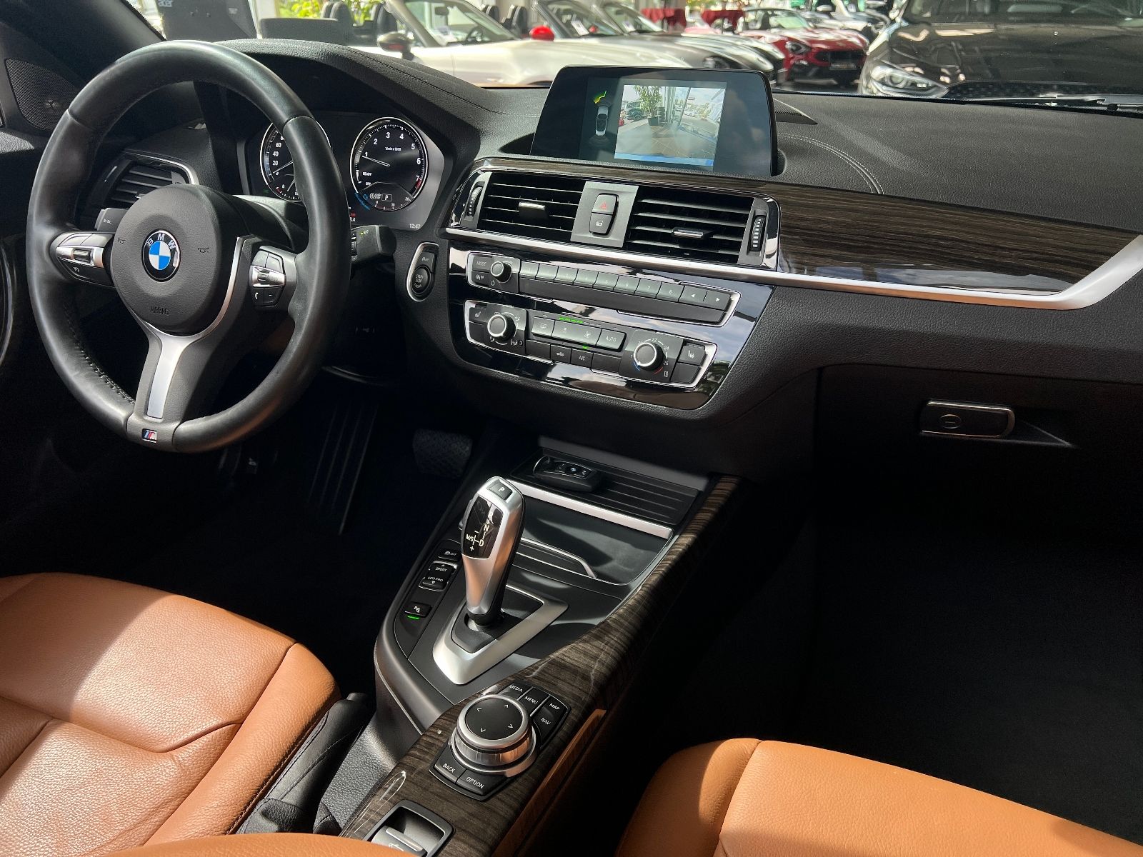 Fahrzeugabbildung BMW 220i Cabrio Luxury Line NAV LED PDC