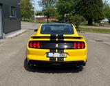 Ford Mustang Shelby GT 350 - Ford Mustang: Gt350