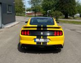 Ford Mustang Shelby GT 350 - Ford Mustang: Gt350 Shelby